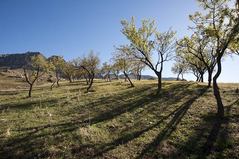 L'aria buona della Sicilia