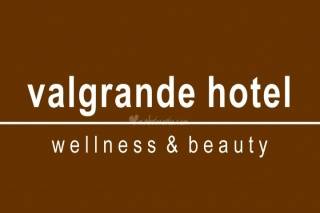 Valgrande Hotel logo