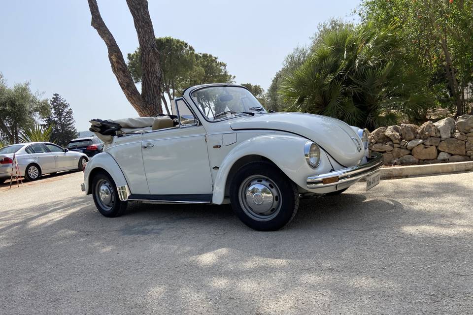 Auto matrimonio