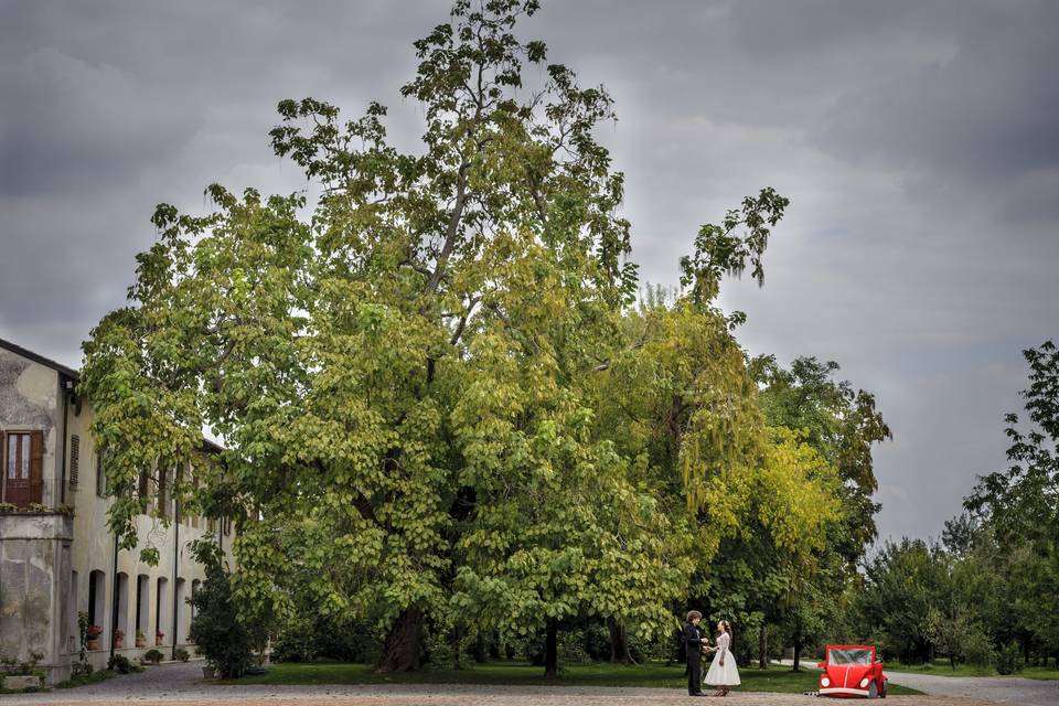 Il parco illuminato