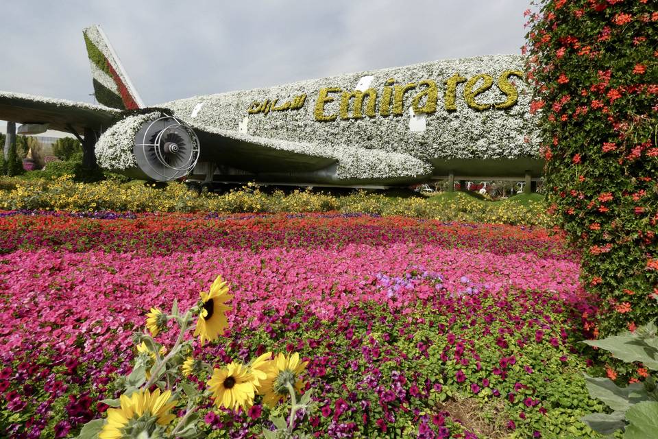 Miracle Garden - Dubai-viaggi