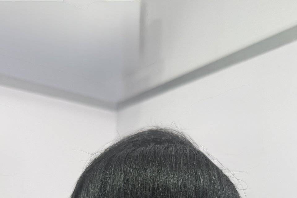 Chignon