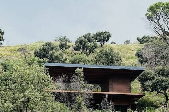 Il Forest lodge