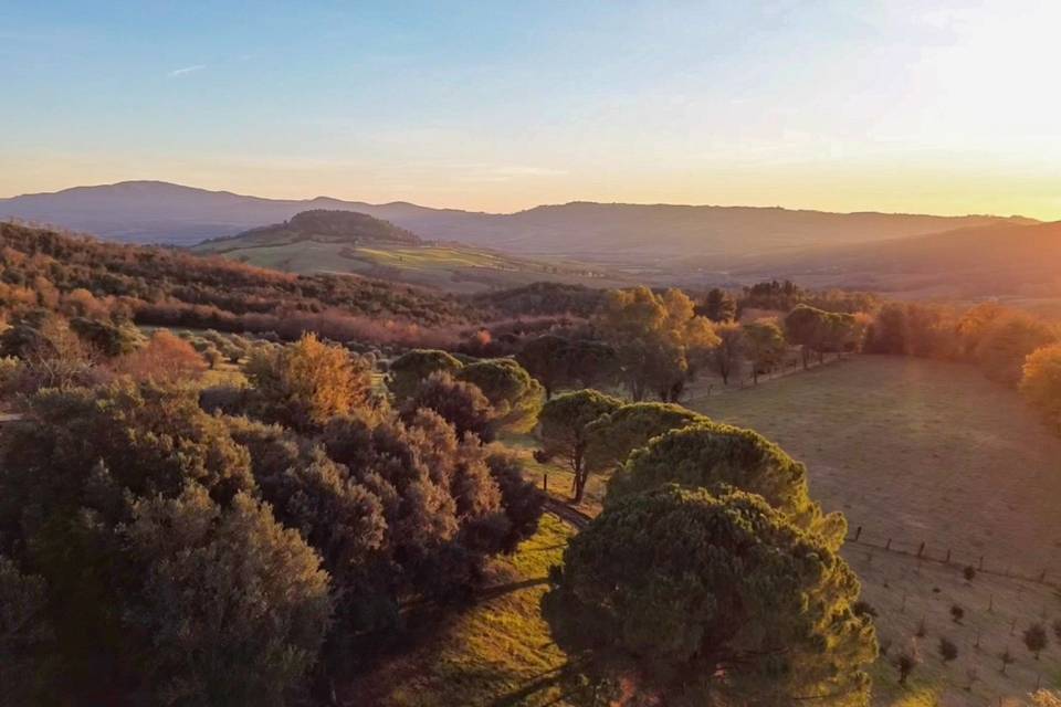 Vista