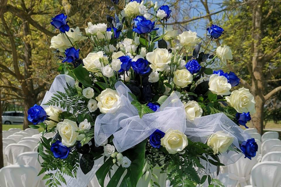 Rose bianche e azzurre