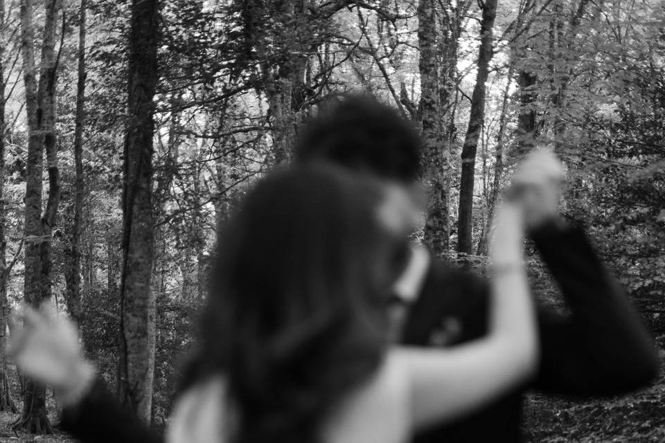 Pre Wedding in Foresta Umbra