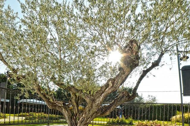 Il Parco dei Poeti