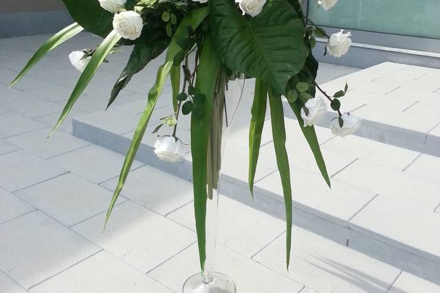 Fiori anche nolleggio