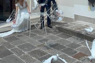 Le colombe Nuziali di Catalin