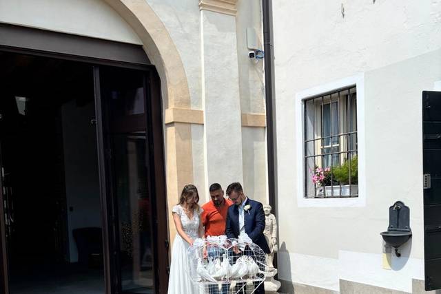 Le colombe Nuziali di Catalin