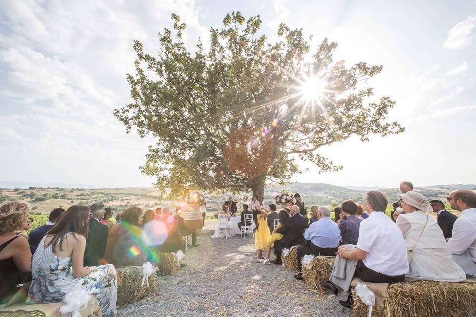 Lucia Saltalamacchia - Wedding in Maremma