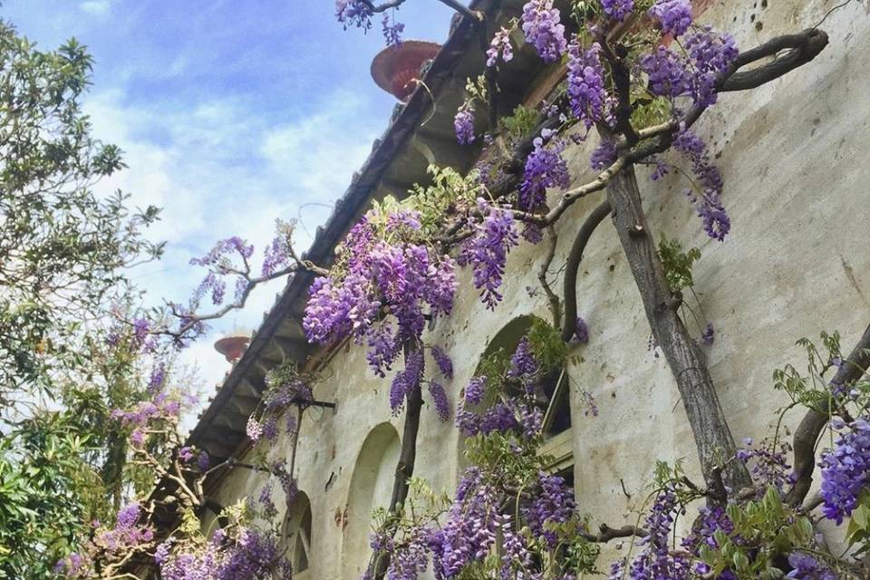 Castello I Bonsi