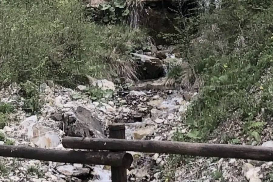 Dove vivono le nostre api