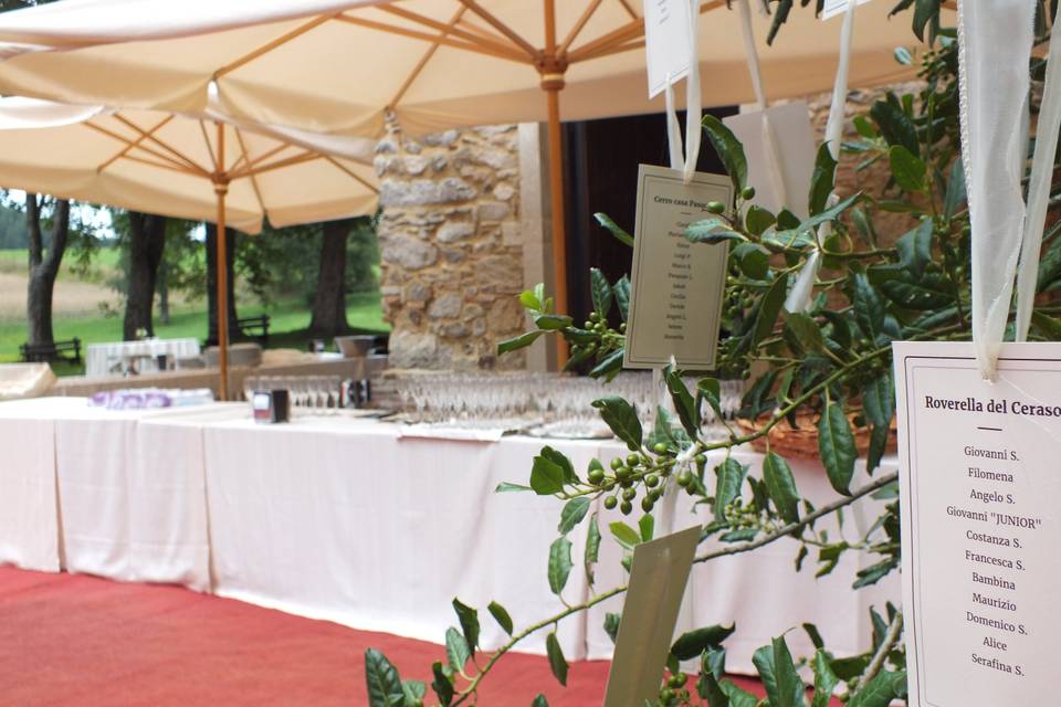 Buffet aperitivo esterno