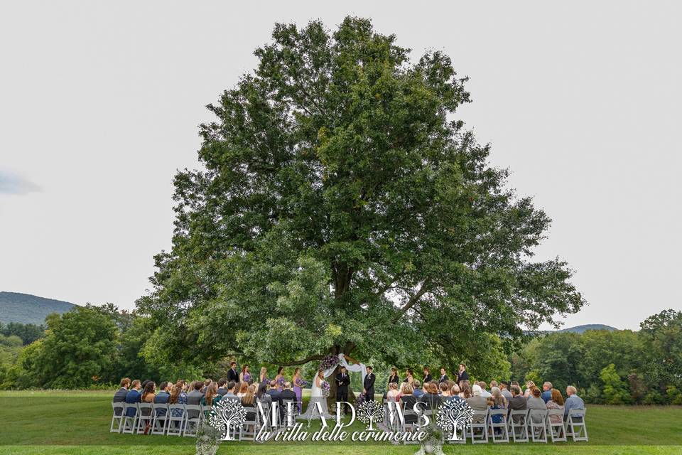 Meadows - Wedding