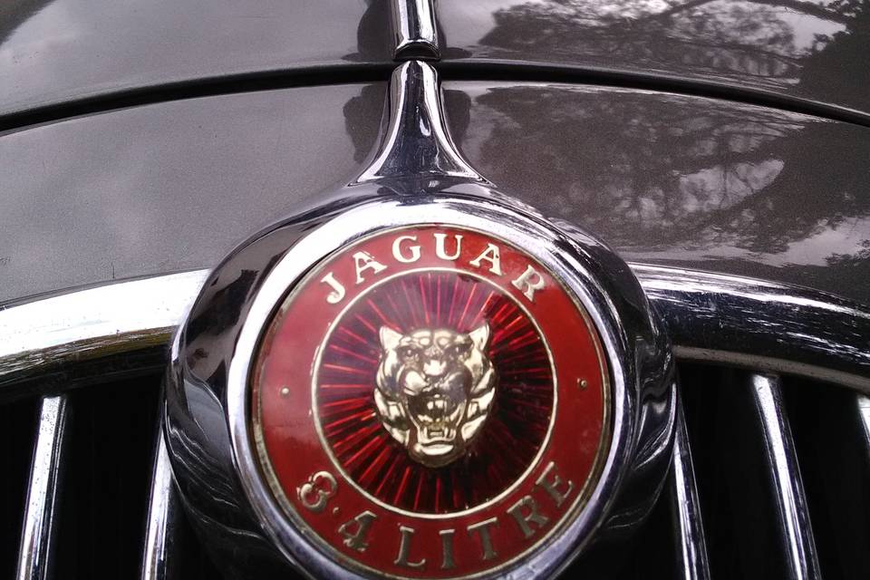 Jaguar mk2