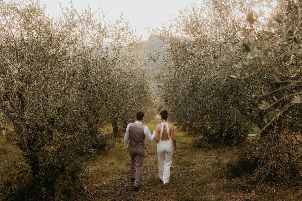 Sotto gli ulivi