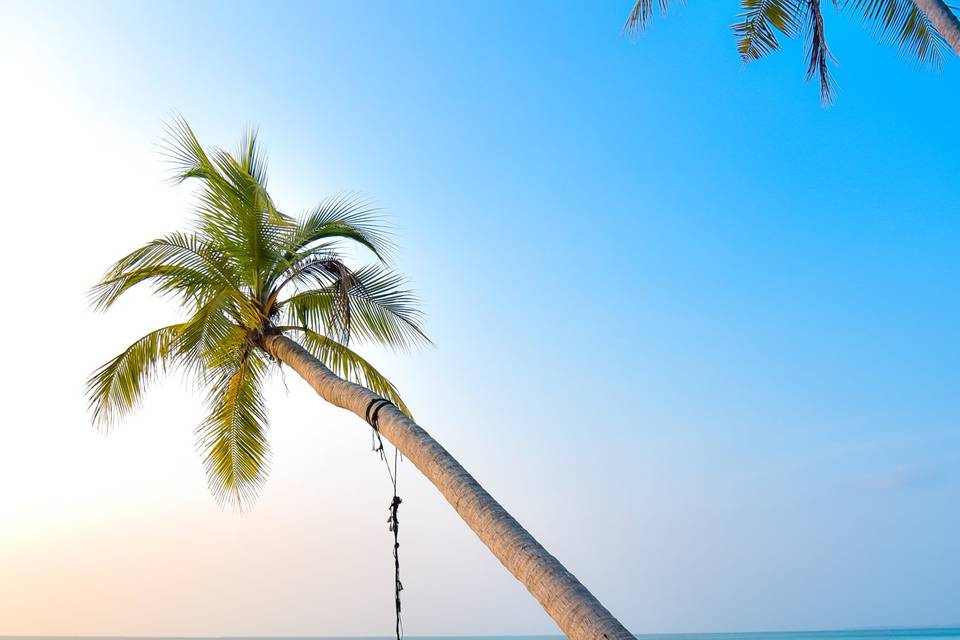 Spiaggia deserta, Maldive