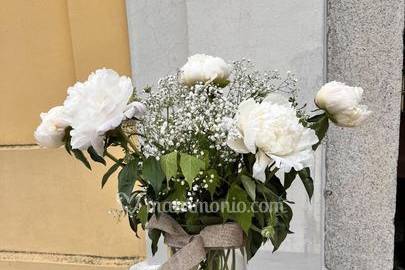 Peonie