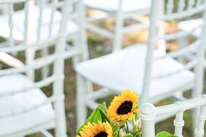 Fiori estivi per le sedie