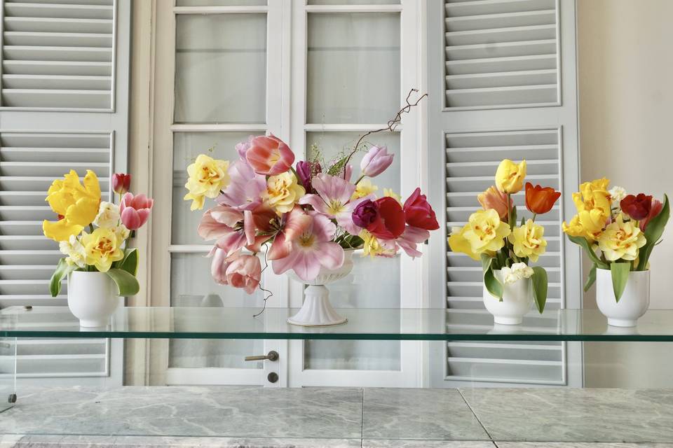 Tulipani e narcisi colorati