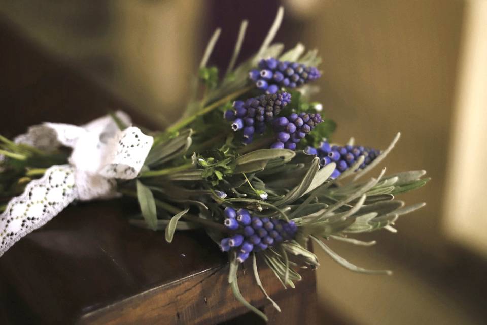 Aromatiche e muscari