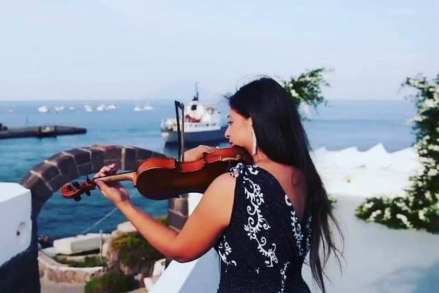 Violino