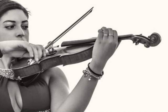 Violino