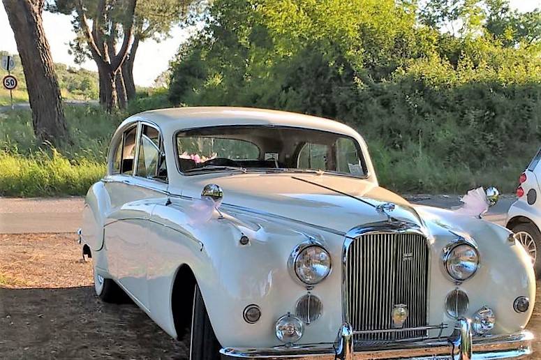 Affitto Limousine e auto d'epoca