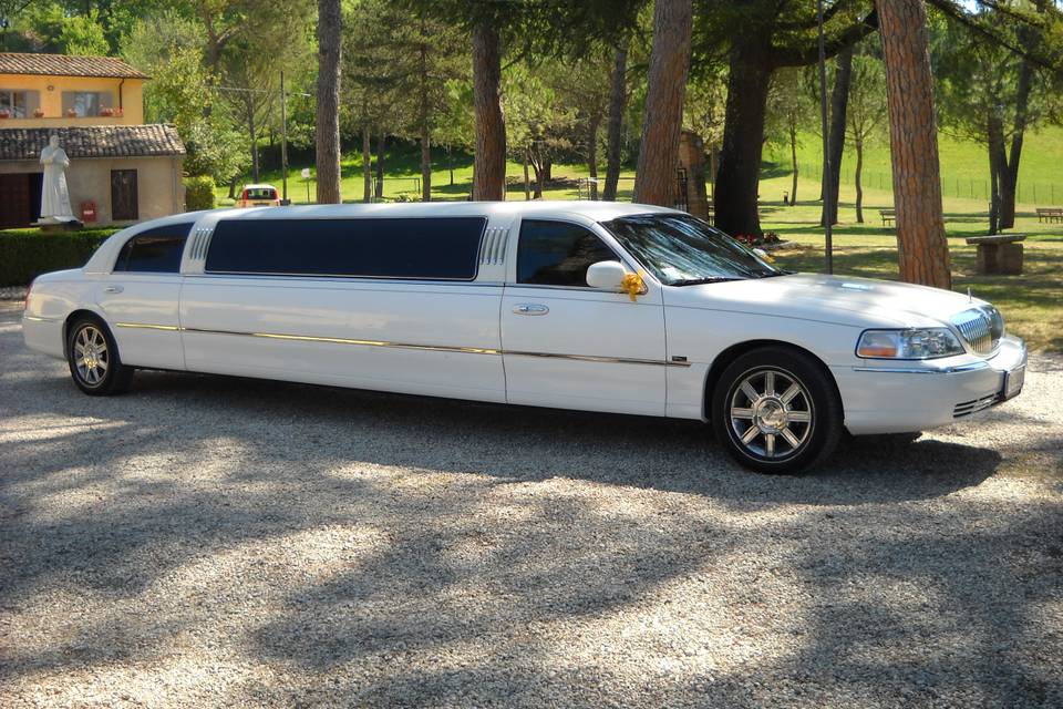 Lincoln limousine