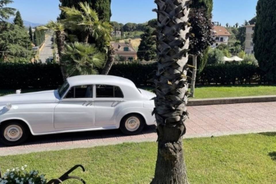 Affitto Limousine e auto d'epoca