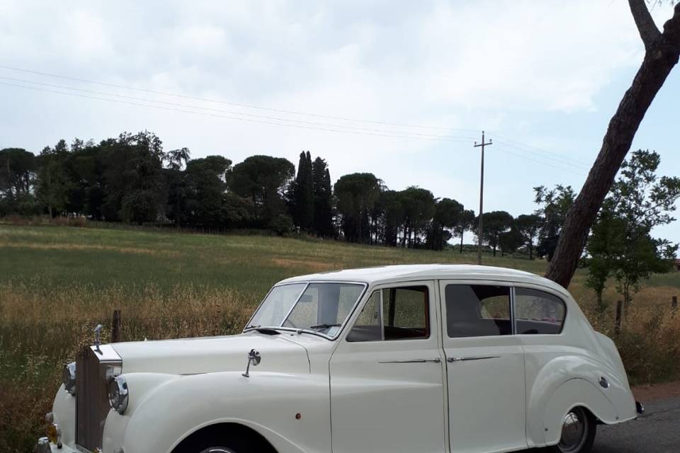 Affitto Limousine e auto d'epoca