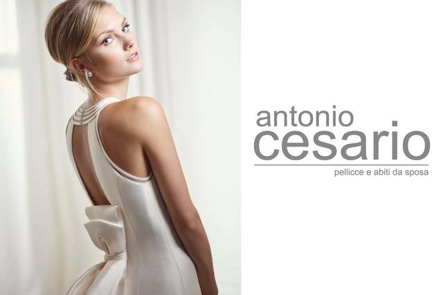 Atelier Cesario