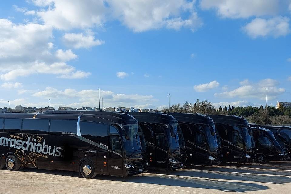 Bus Lecce