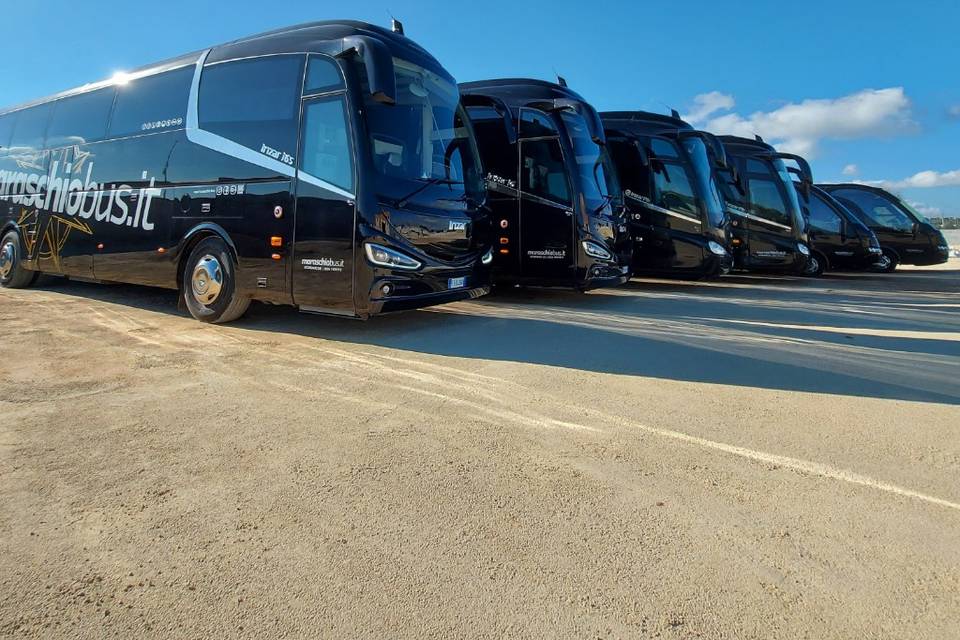Autobus Salento
