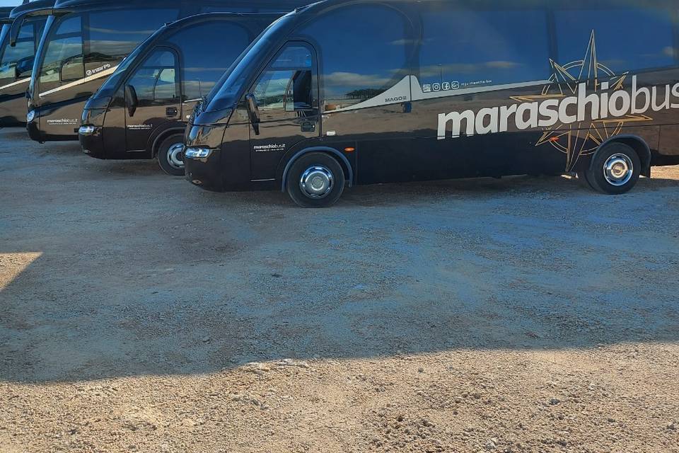 Maraschio Bus