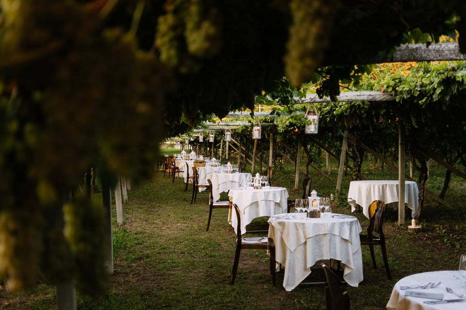 Cena in Vigna