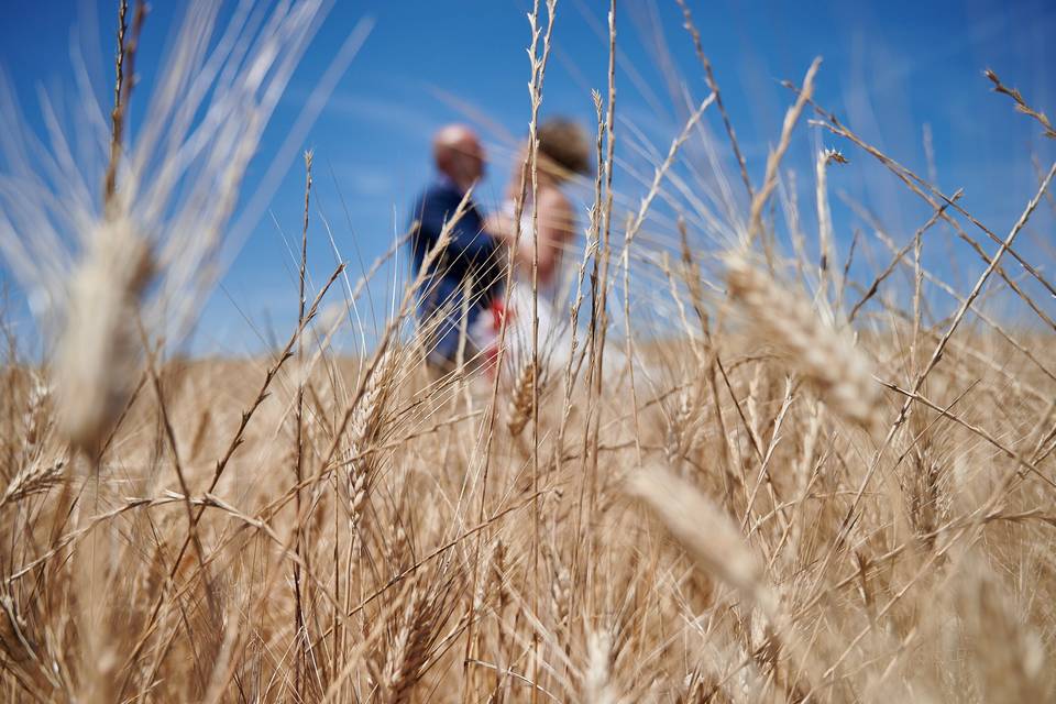 Fotografo-Matrimonio-Siena