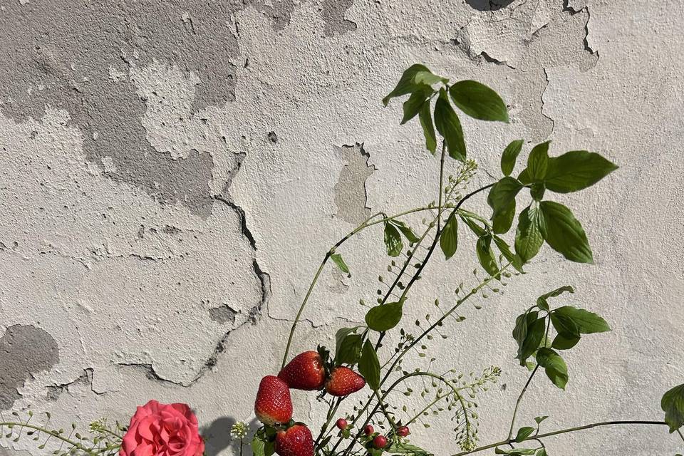 Composizione con frutta
