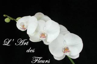 L'art des fleurs