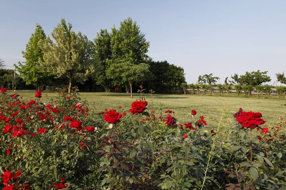 Agriturismo La Borina