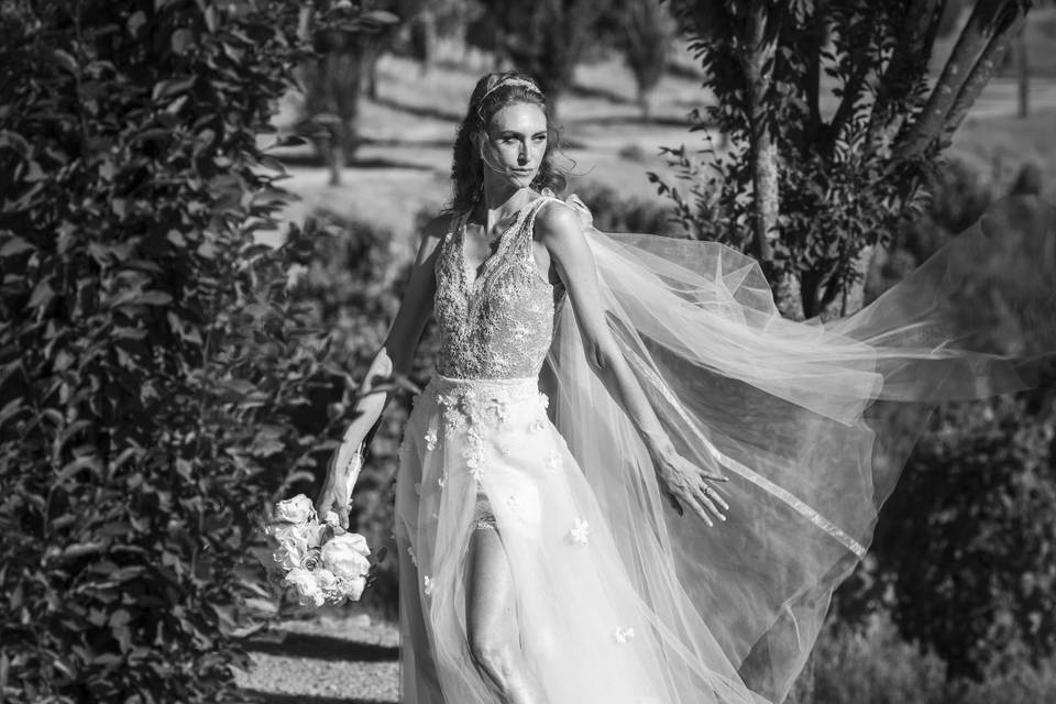 Bwed - Wedding Photographers