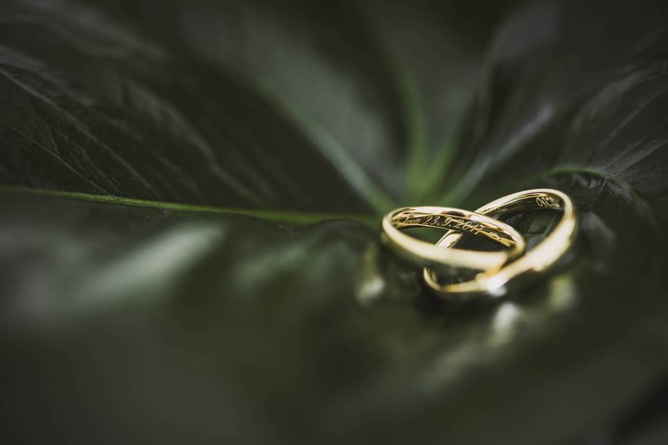 Bwed - Wedding Photographers