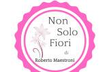 Non Solo Fiori - Roberto Maestroni