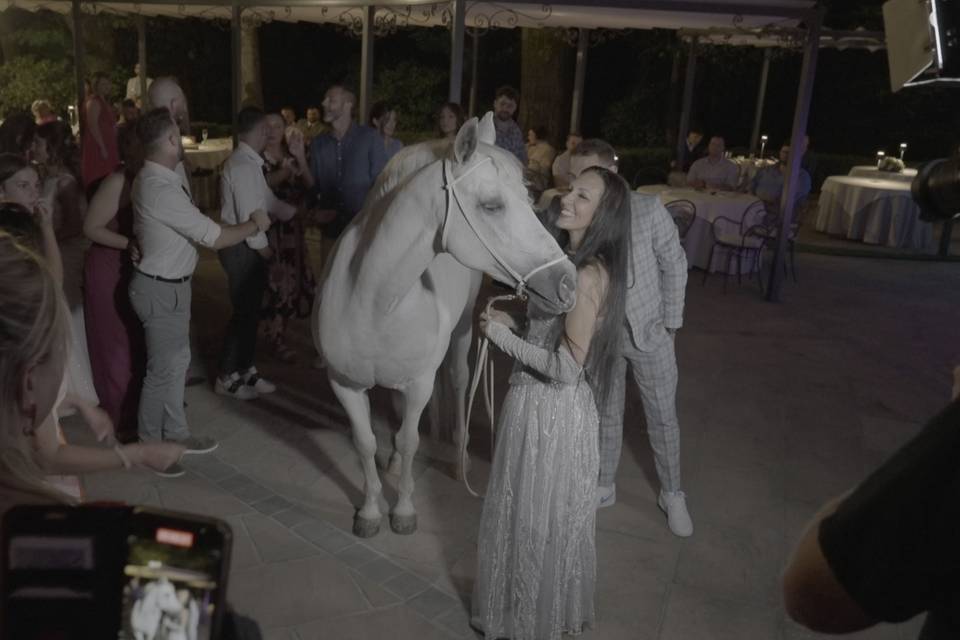 Matrimonio Milano -cavalli