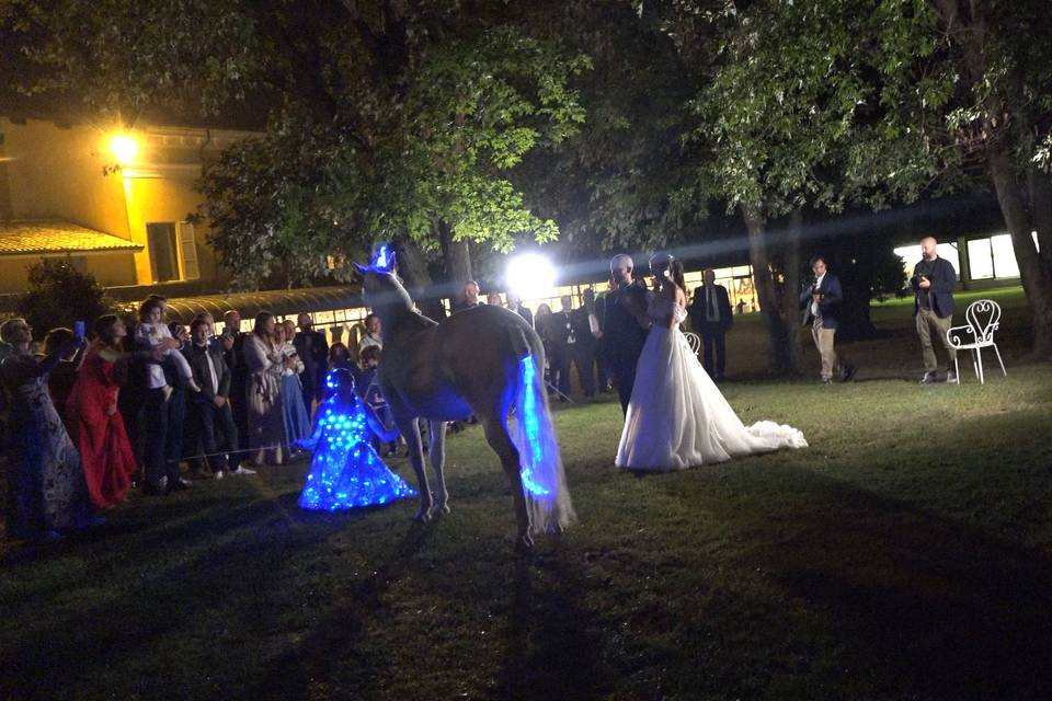 Matrimonio Milano -cavalli