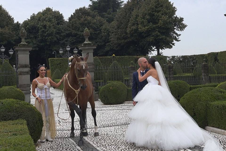 Matrimonio Milano -cavalli