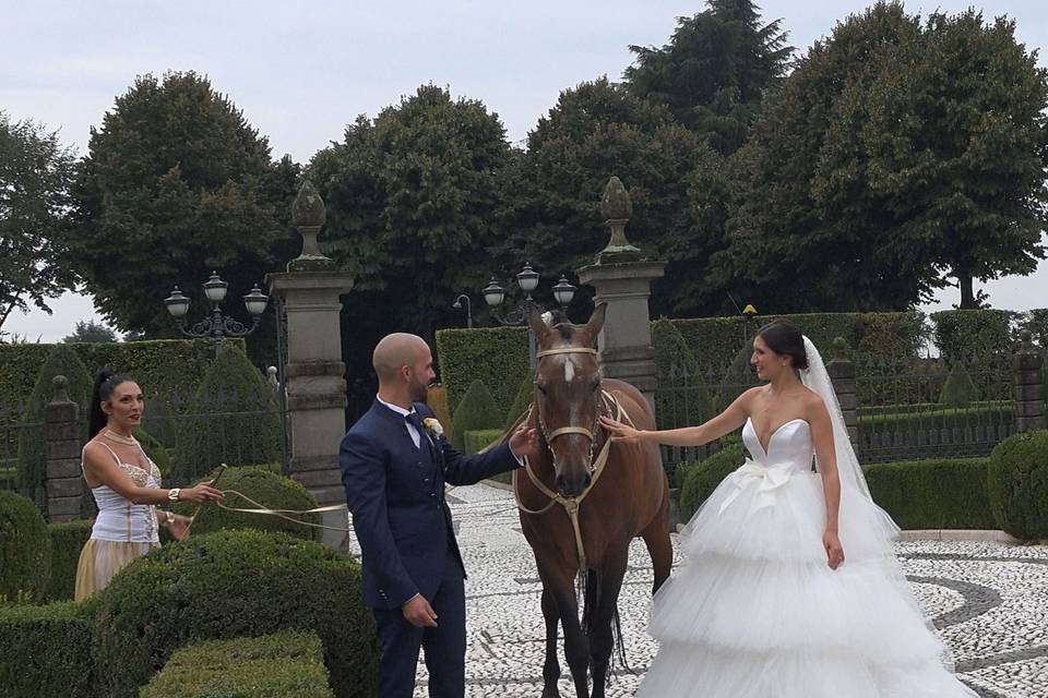 Matrimonio Milano -cavalli