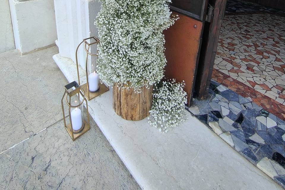 Solo Gypsophila