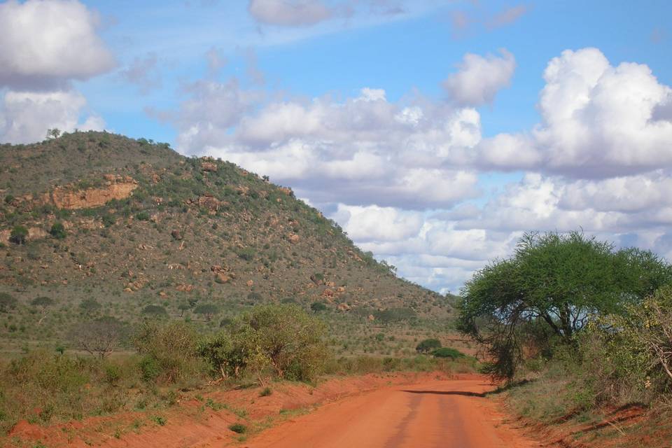 Tsavo Est Kenya